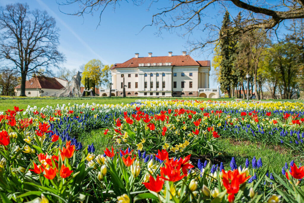 Tulpių žydėjimas Pakruojo dvare jau čia pat