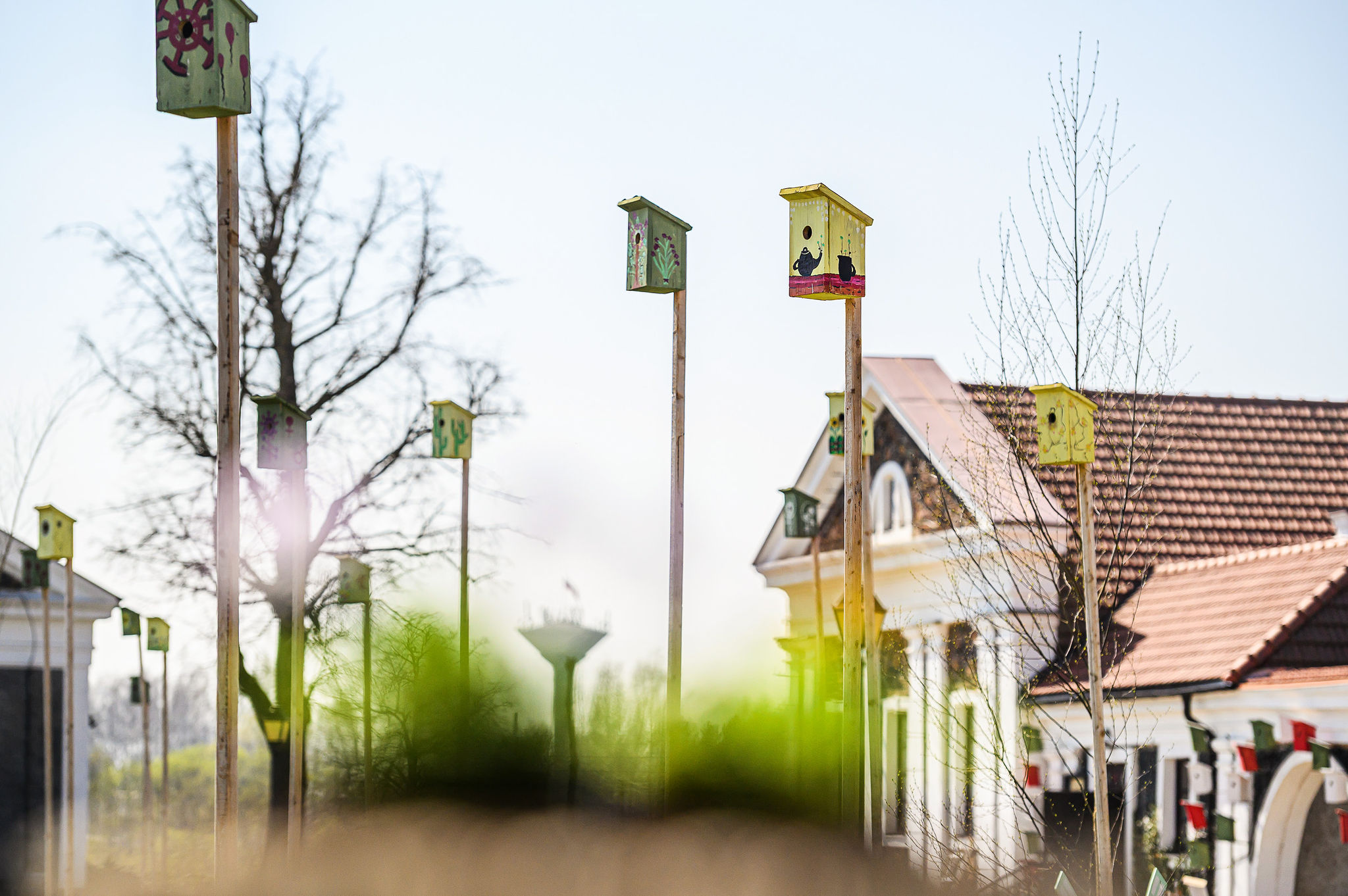 Renesanso įkvėptos veiklos ir atradimai