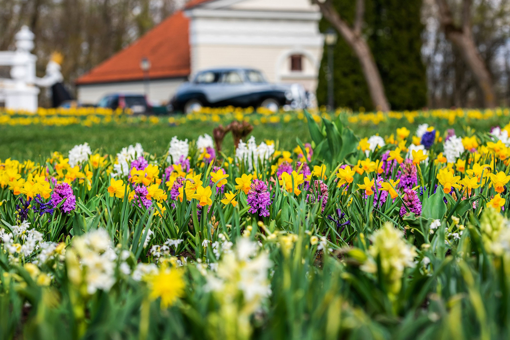Renesanso įkvėptos veiklos ir atradimai