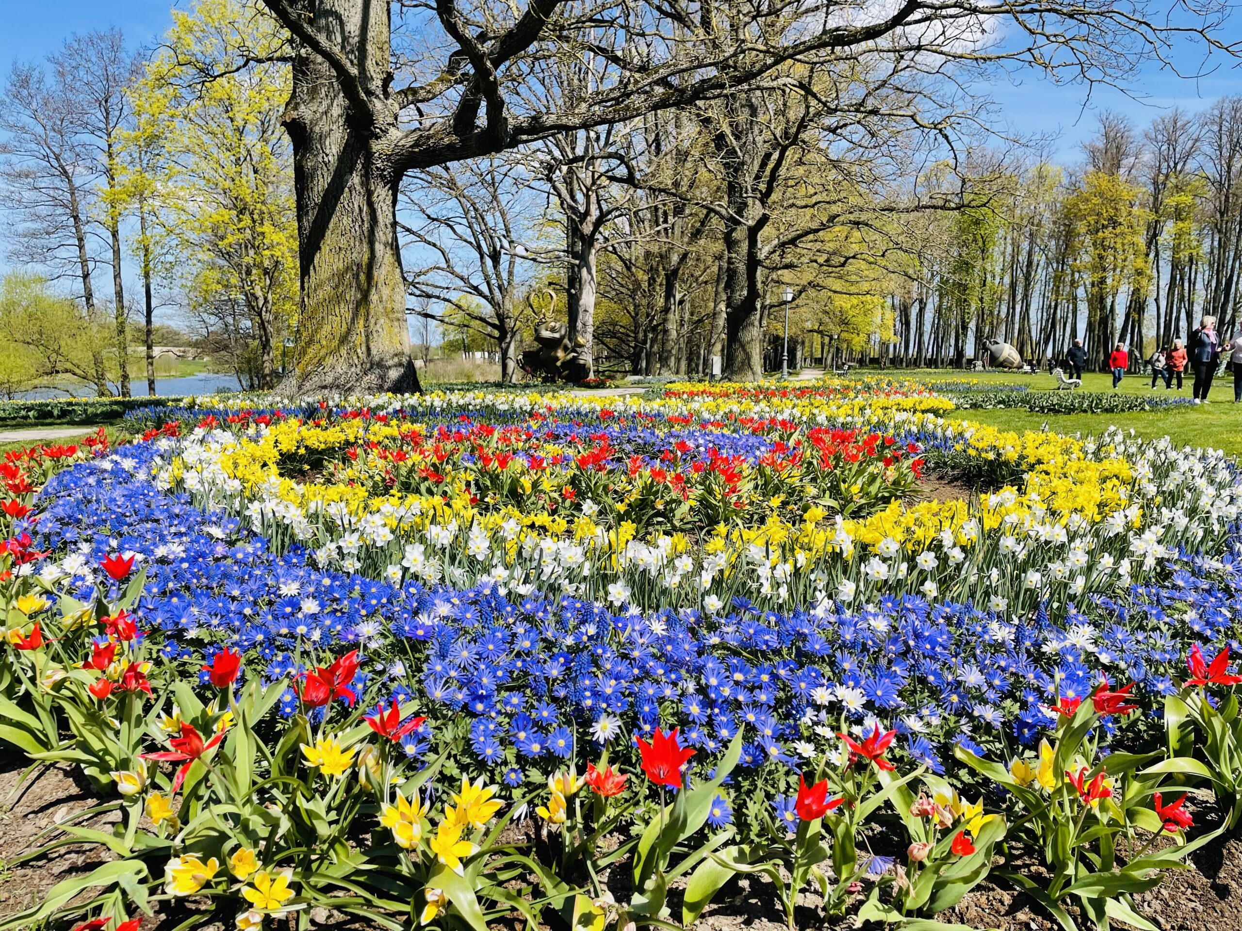 Savaitgalį startuoja Renesanso įkvėptas tulpių ir pavasario gėlių festivalis Pakruojo dvare