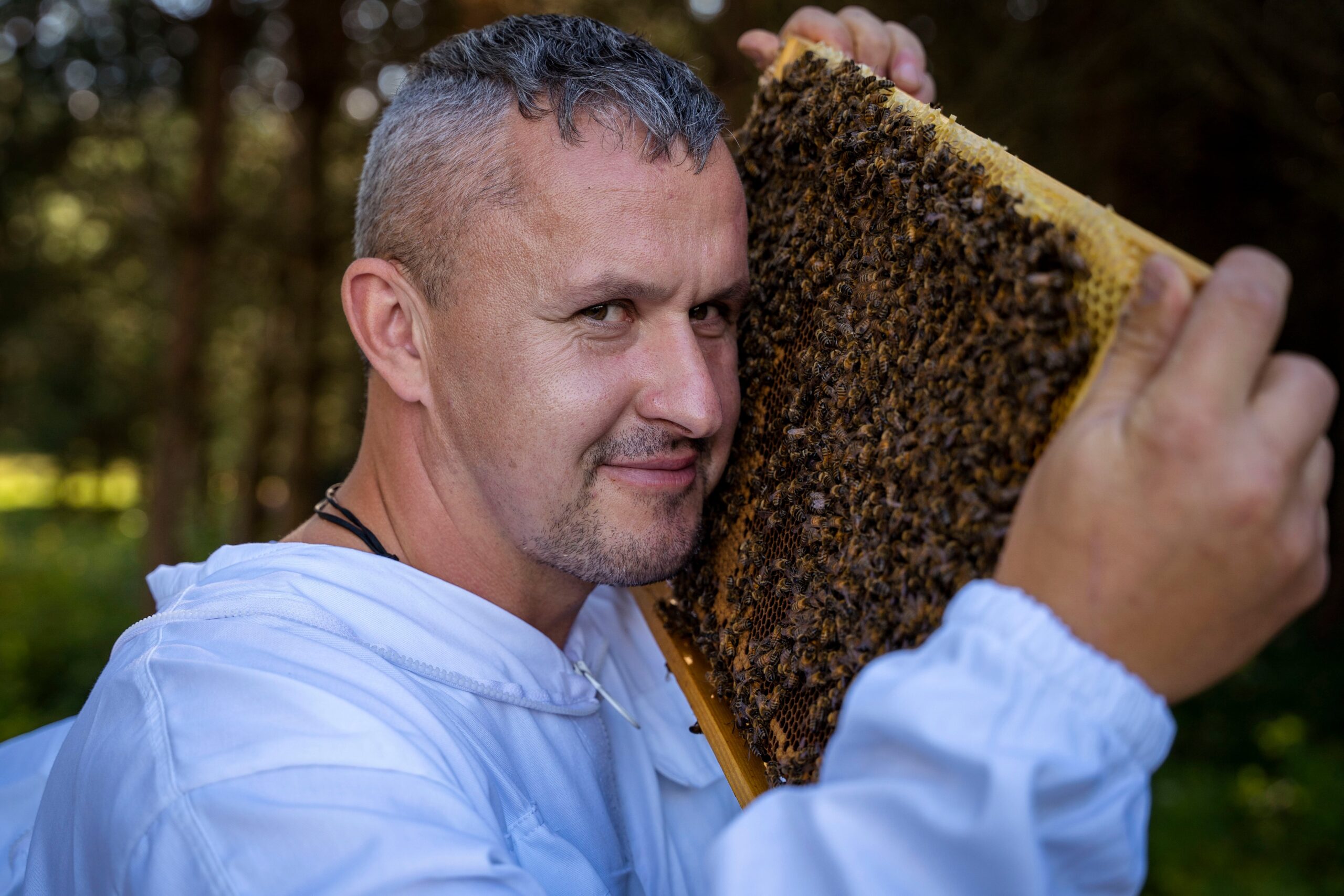 Bičių miestas Pepės vilaitėje