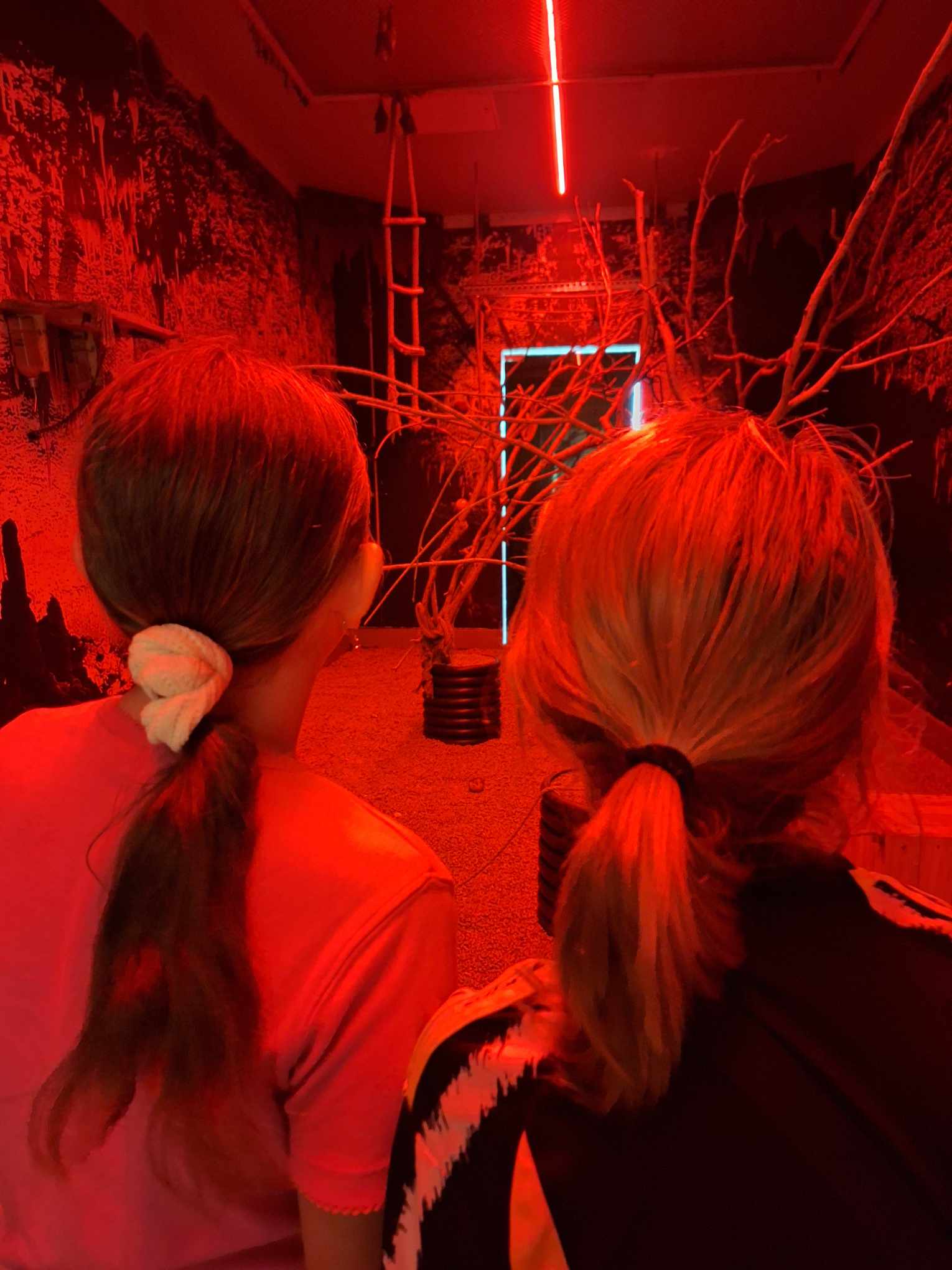 Zoopark išleistuvės