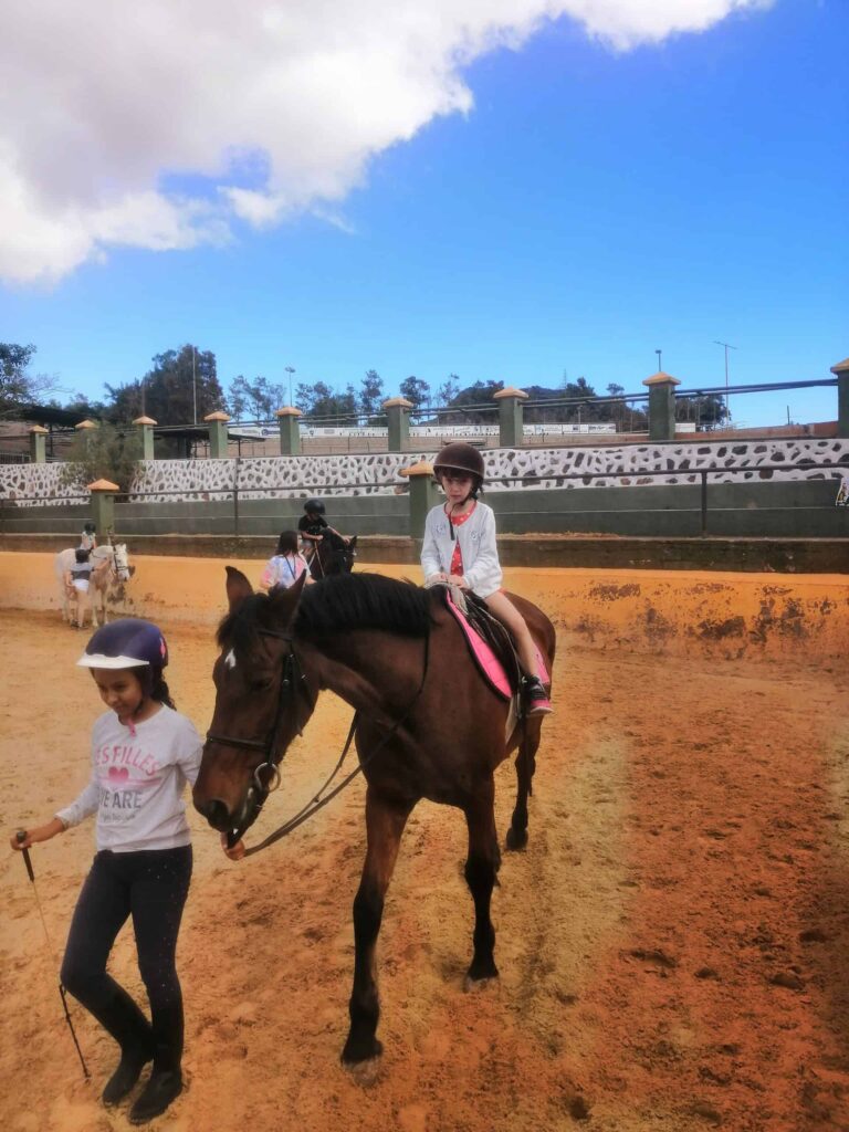 Centro Hipico Del Sur