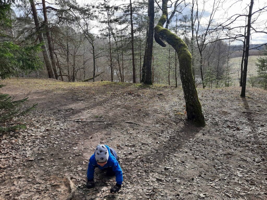 Girinio takas