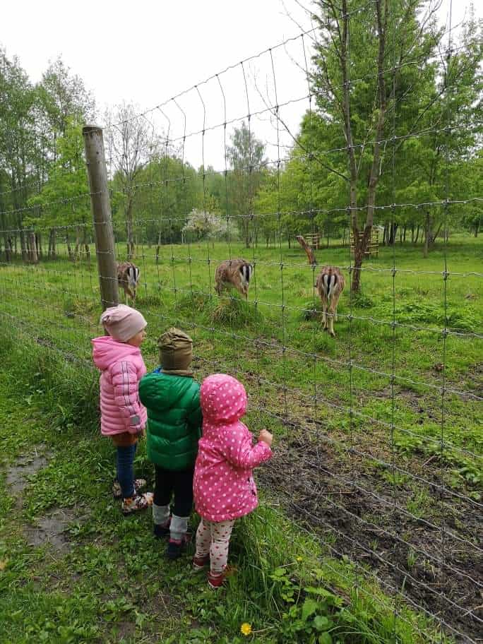 Rokiškyje su vaikais