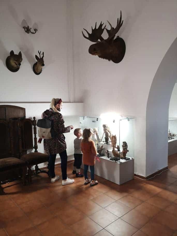 Rokiškio krašto muziejus