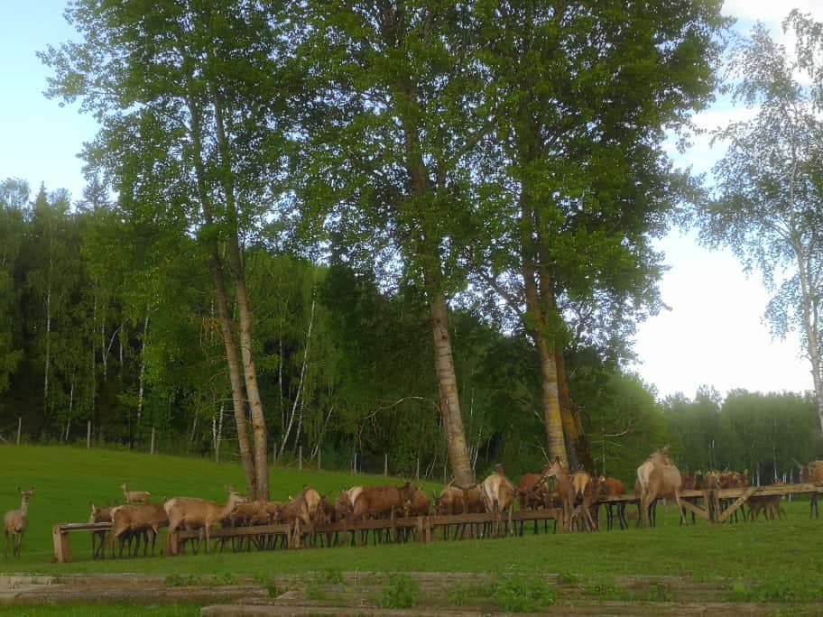 Rokiškyje su vaikais