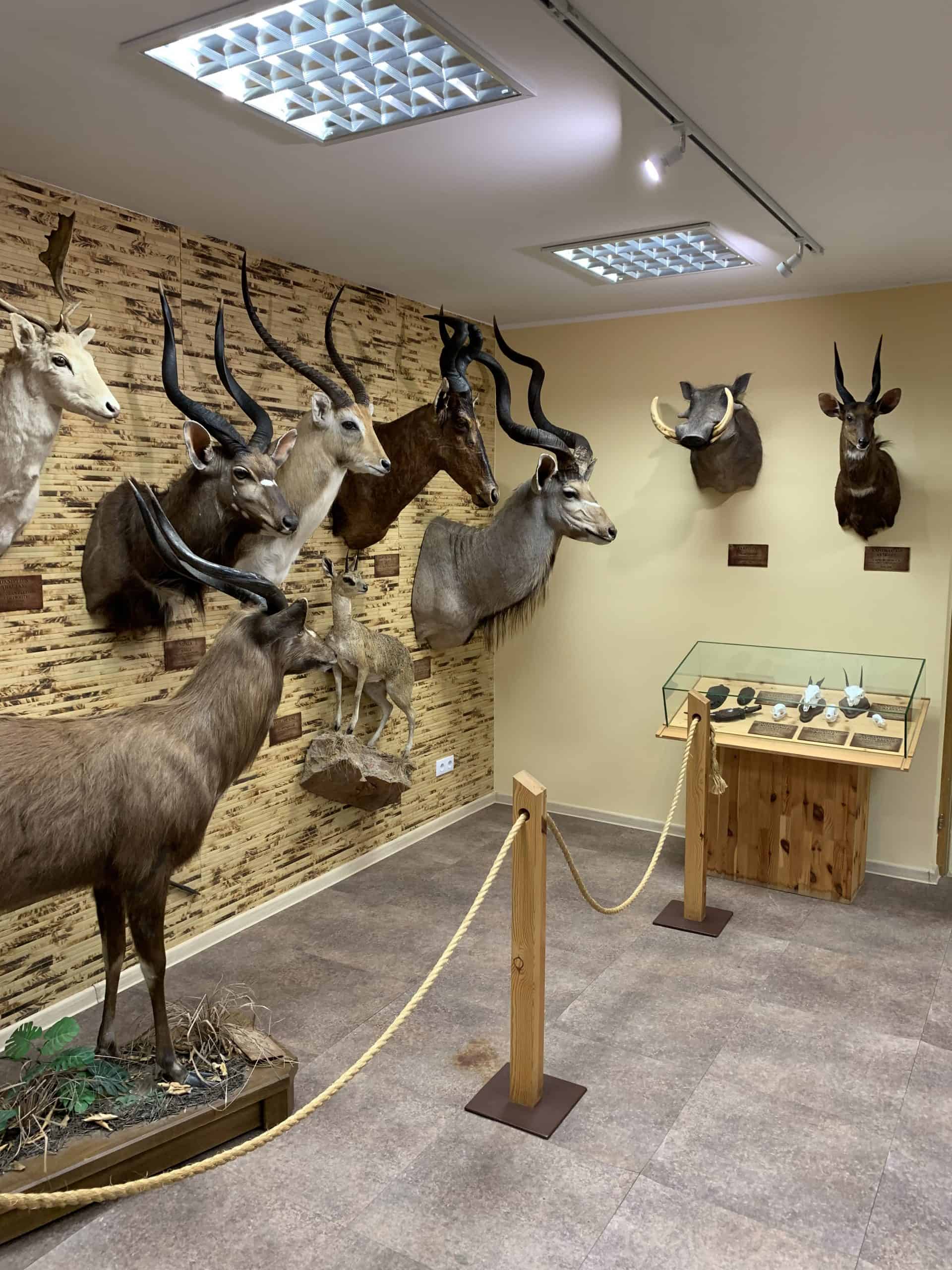 Antano Truskausko medžioklės trofėjų muziejus