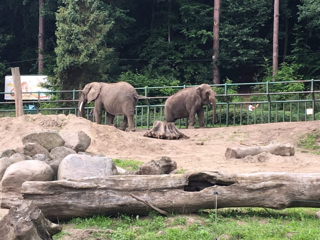 Gdansko zoologijos sodas