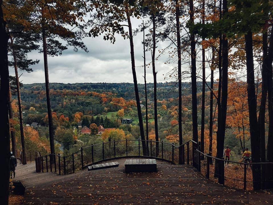 Pūčkorių atodanga