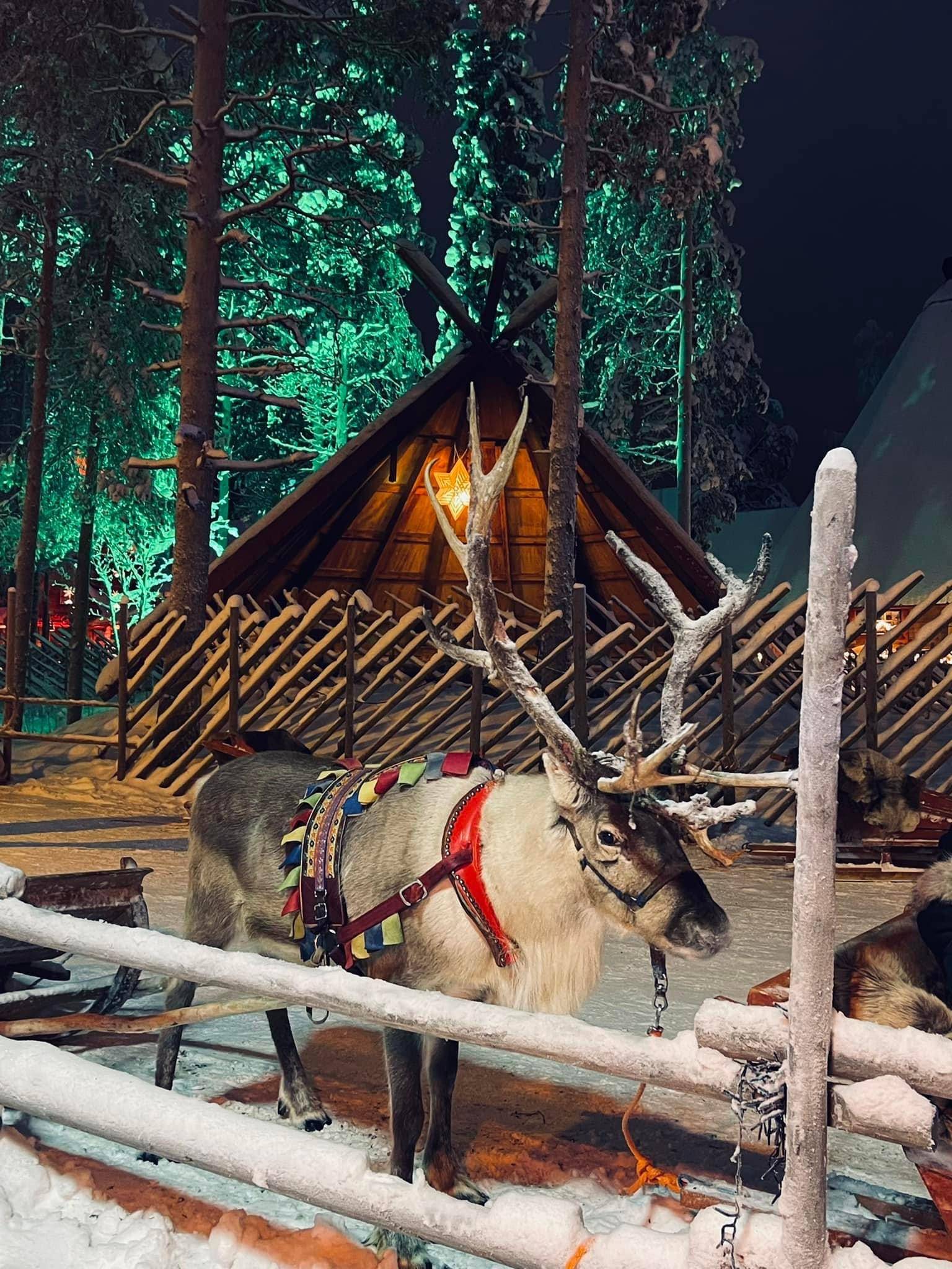 Kelionė į Laplandiją pas Kalėdų senelį