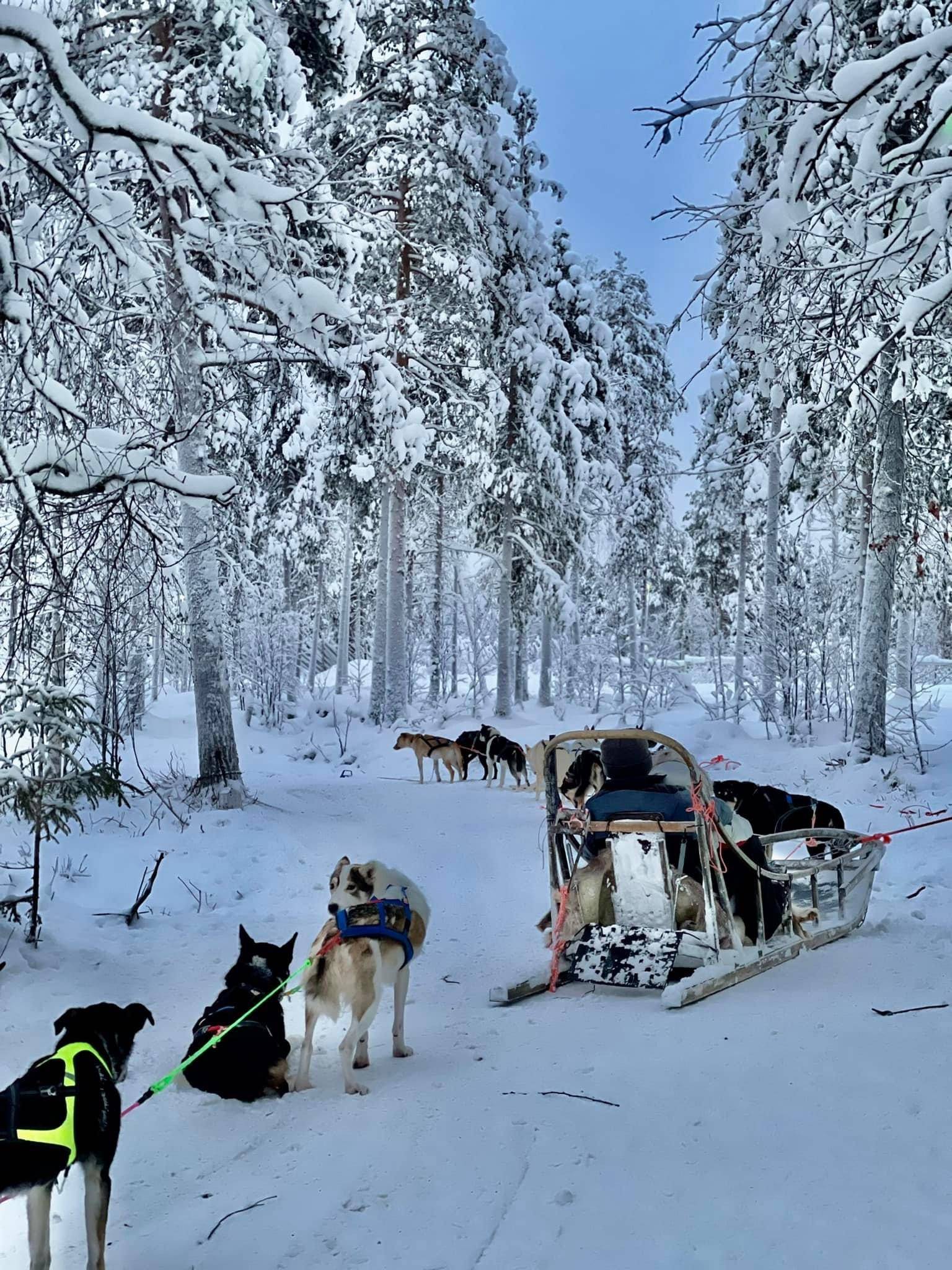 Pasivažinėjimas haskiais