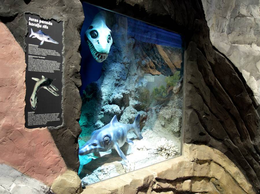 Latvijos nacionalinis gamtos istorijos muziejus