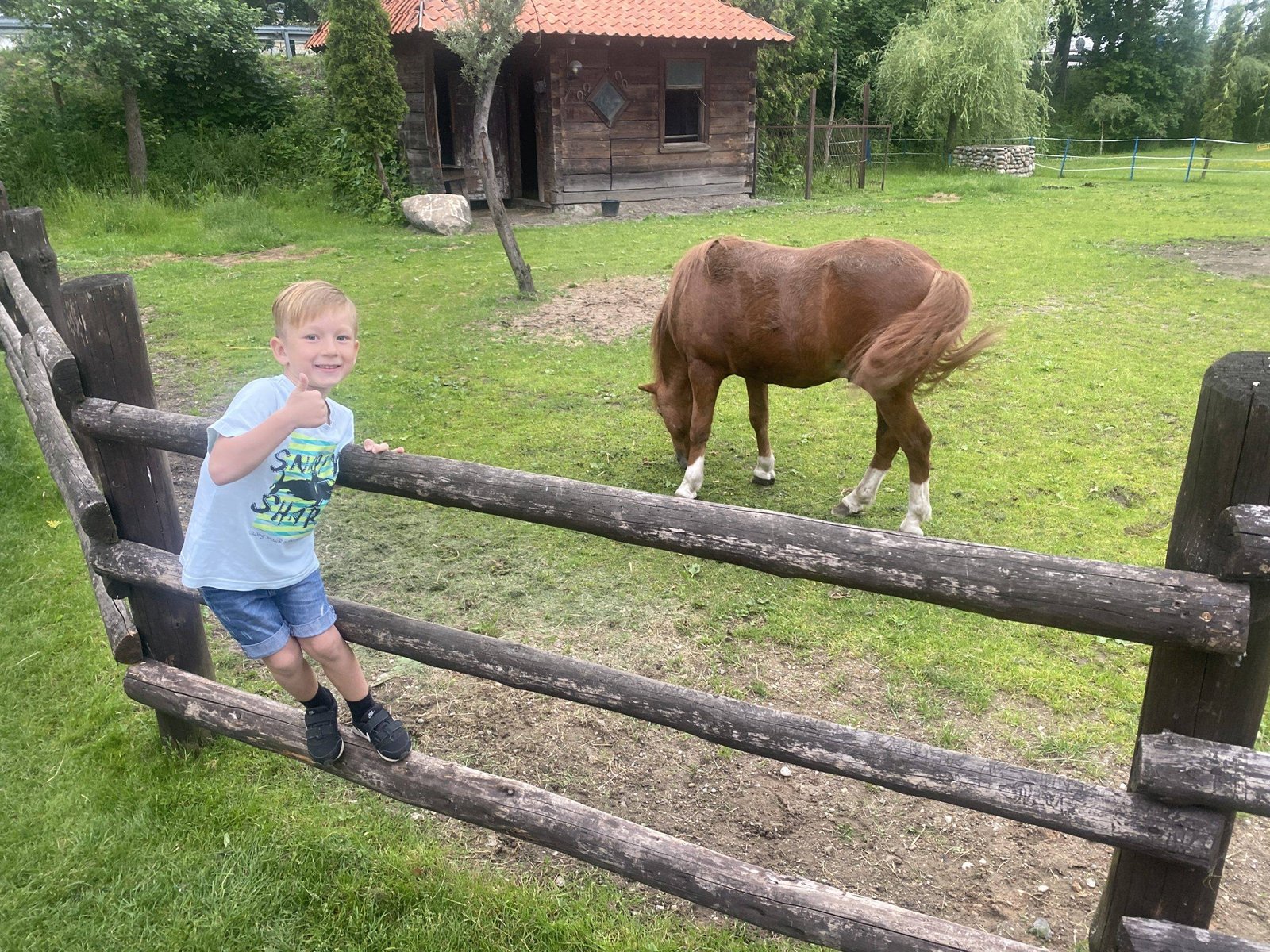 Kur pavalgyti Lenkijoje