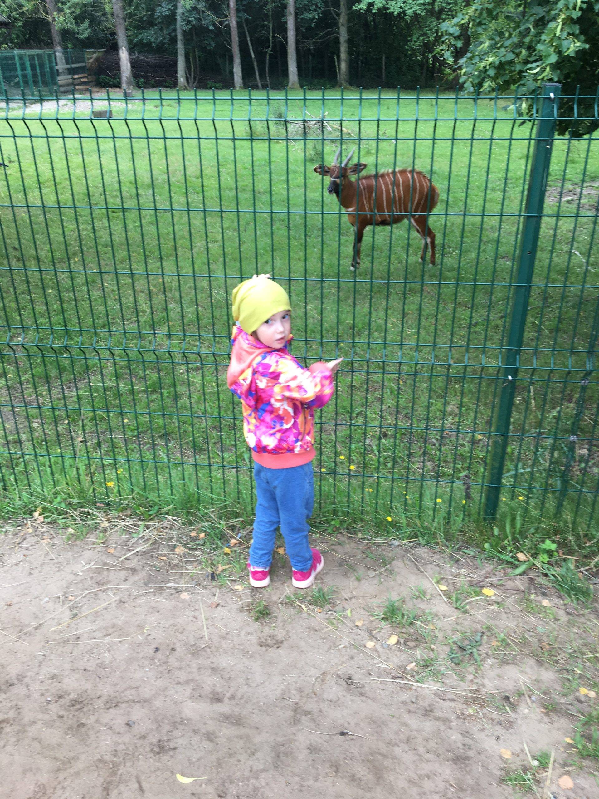 Kelionė į Lenkijos pajūrį su vaikais