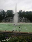 Dubrovino parkas
