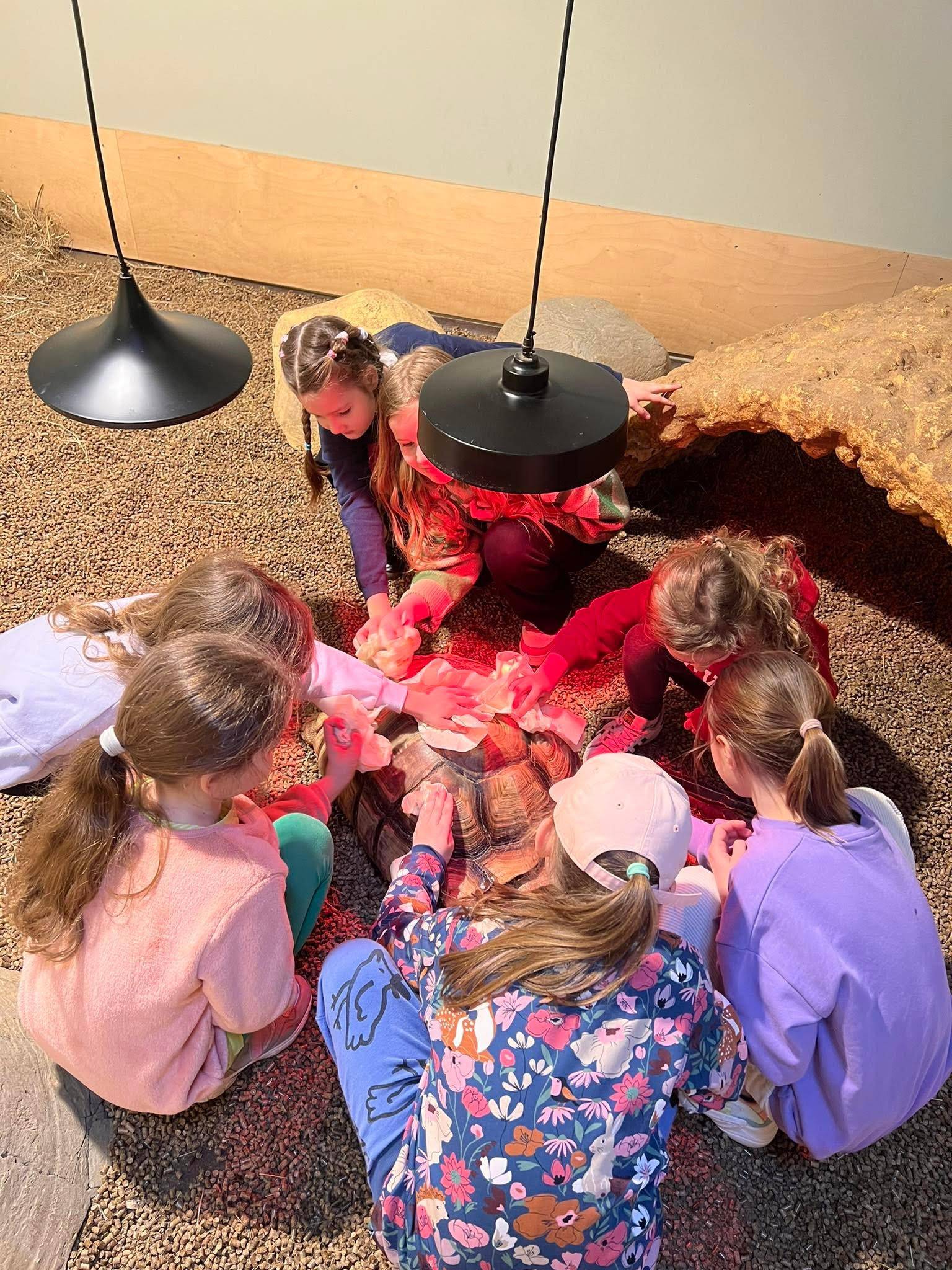 ZOOPARK Vilnius jaunųjų gamtininkų dienos stovykla