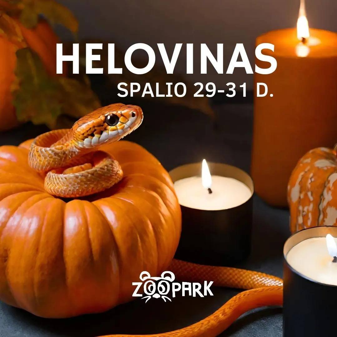 Helovino renginiai Kaune
