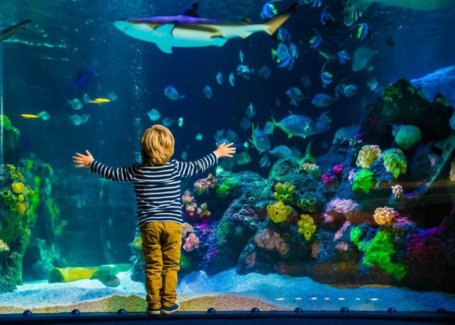 Sea Life Helsinki