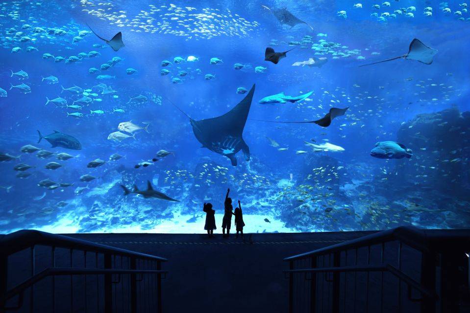 Akvariumas Singapūre