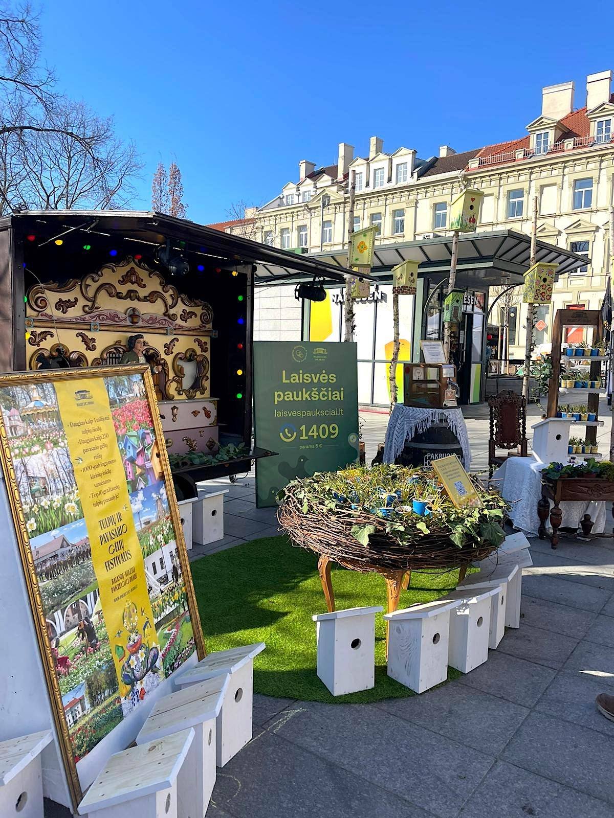 Paramos akcija Laisvės paukščiai