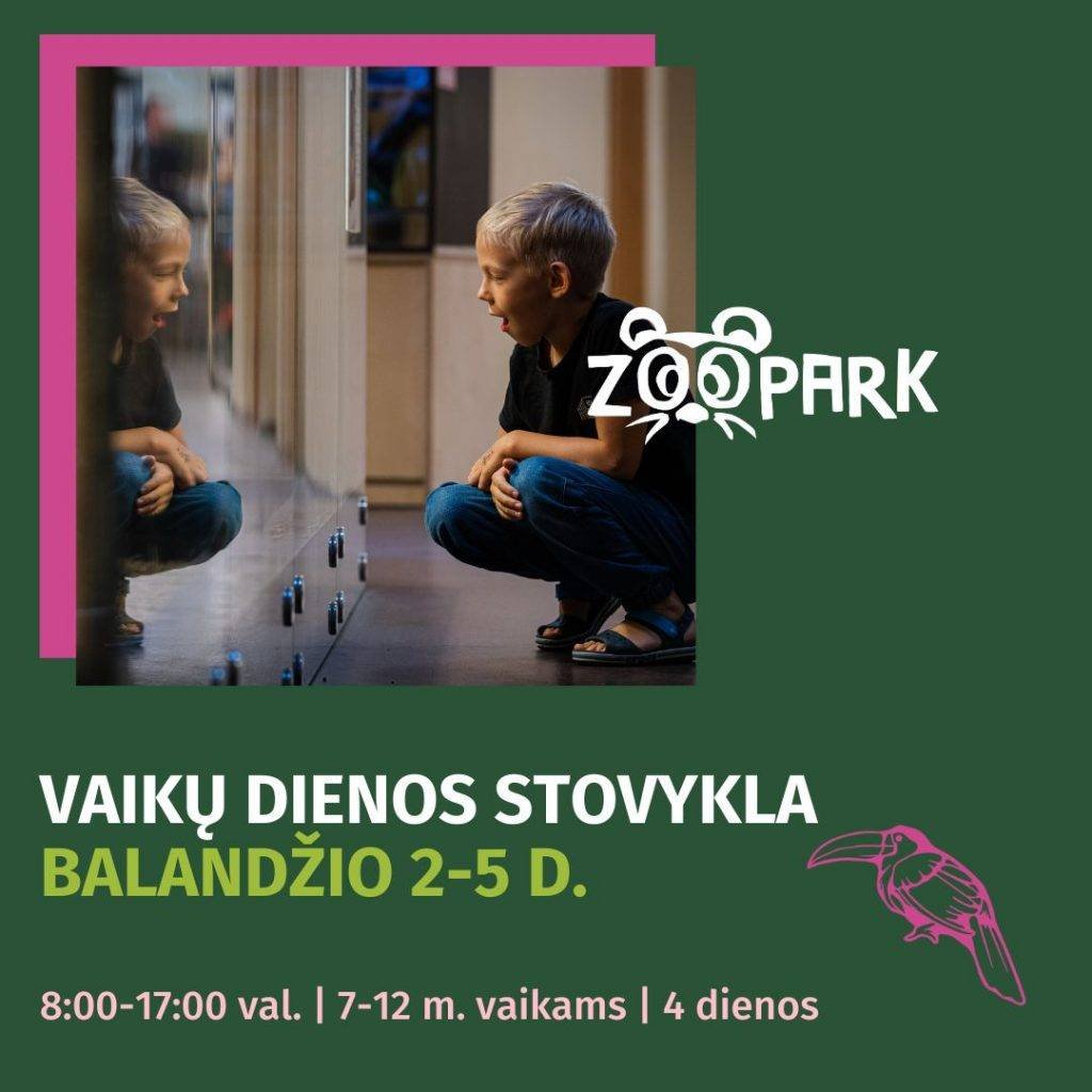 Vaikų dienos stovykla Zoopark Vilnius
