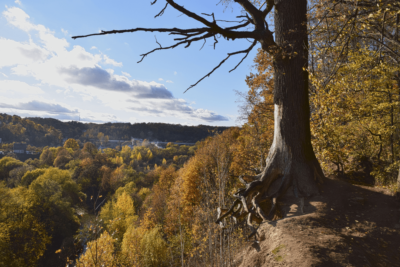 Rokų atodanga