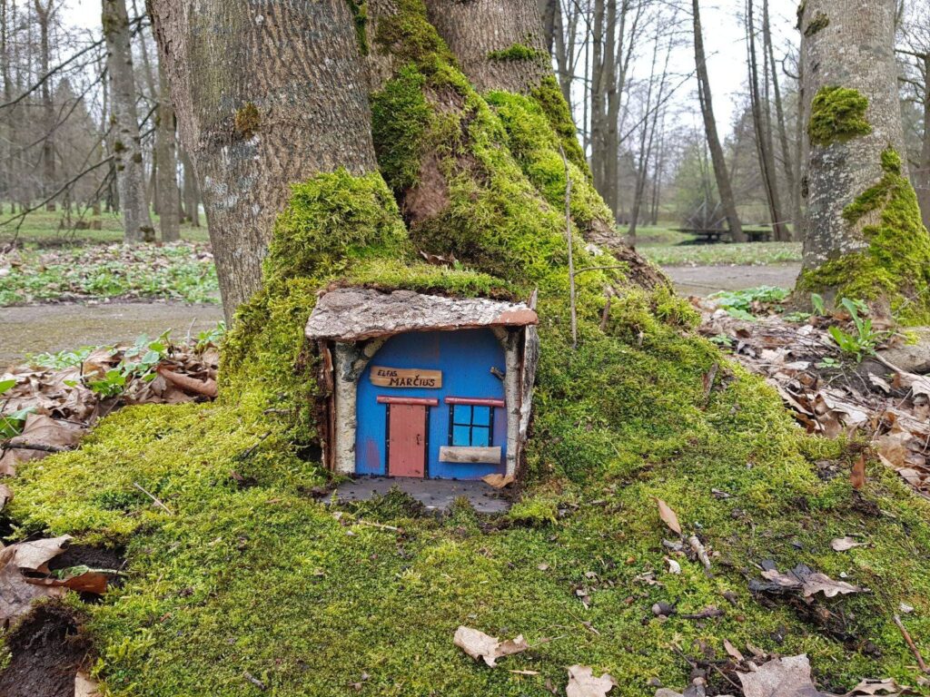 Nauja vieta Kaune: elfų kaimelis
