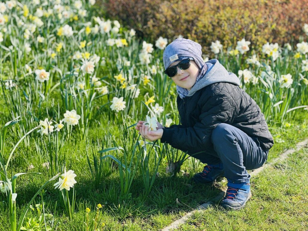 Narcizų žydėjimo šventė Druskininkuose