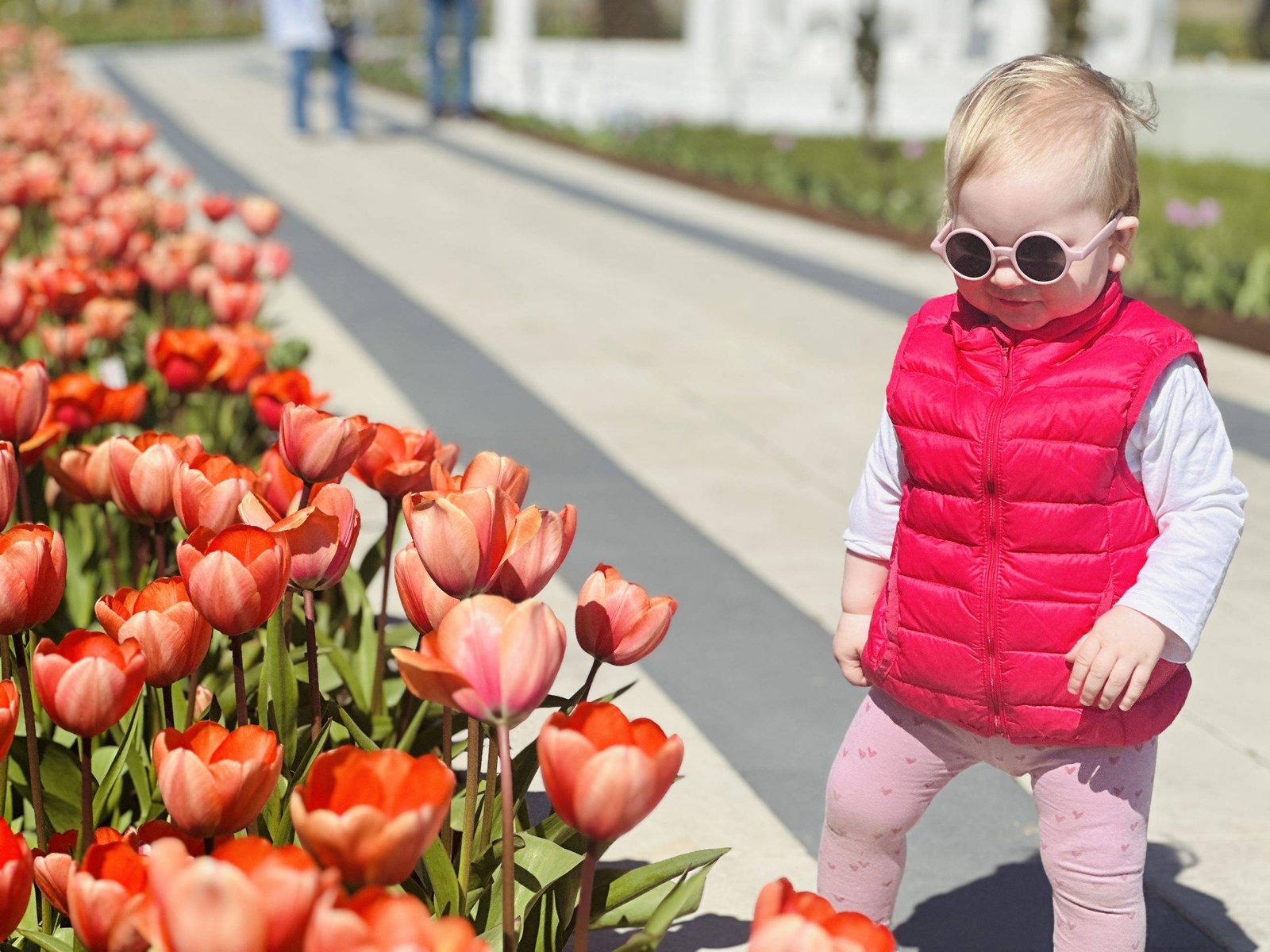 Dovana mamai - įspūdinga diena Babilono soduose