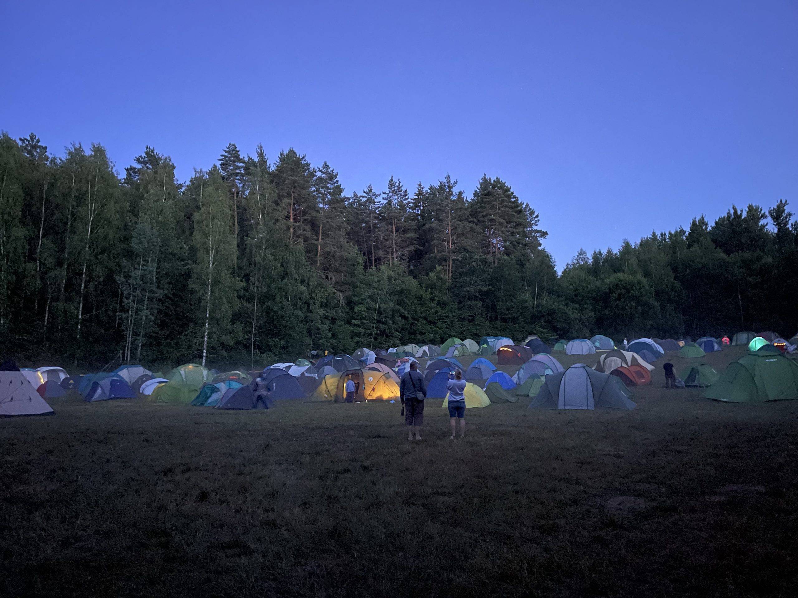 Festivalis vyks Auksinėje girioje