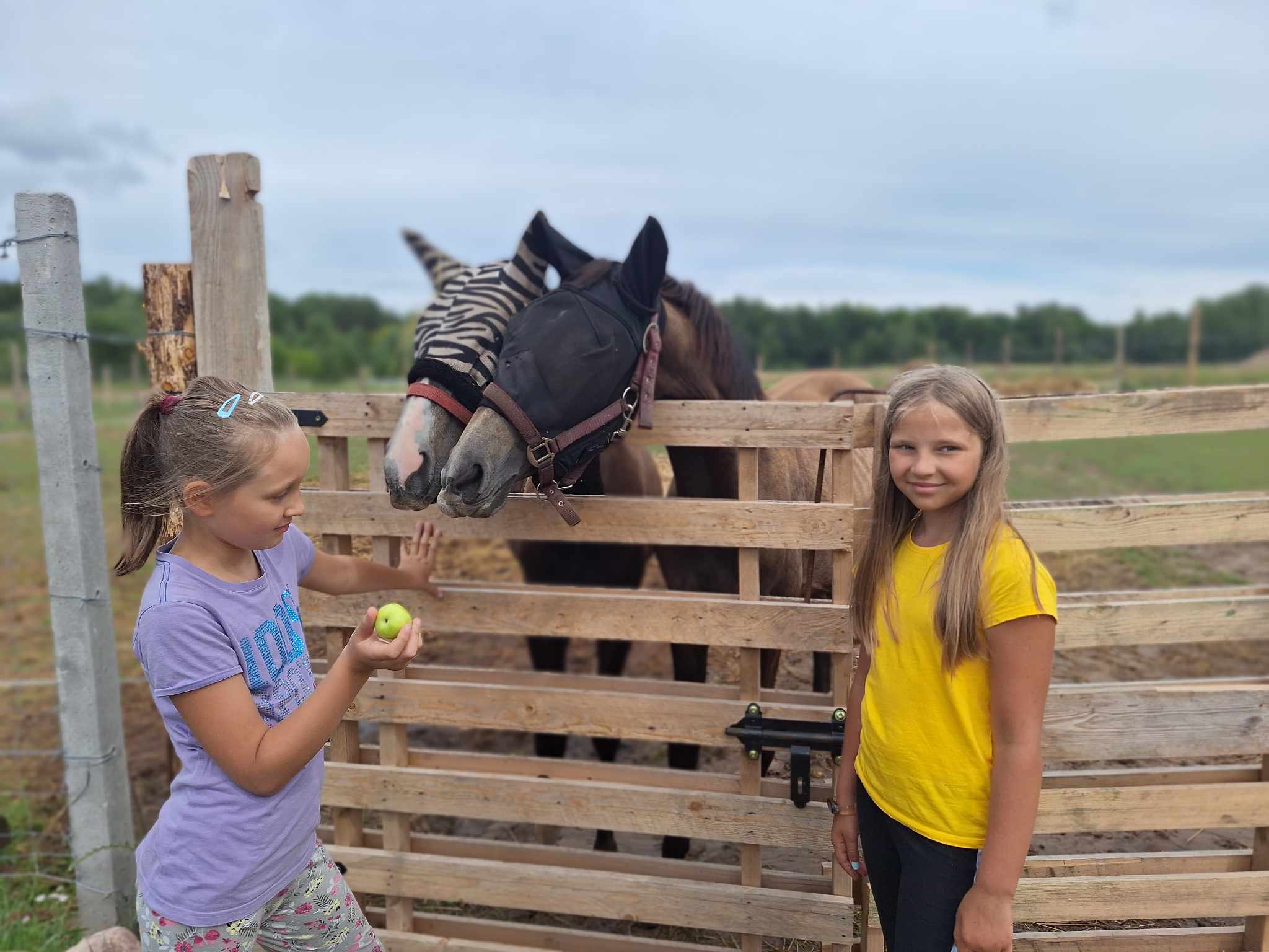Mickūnų jojimo klubas KEMK žirgai