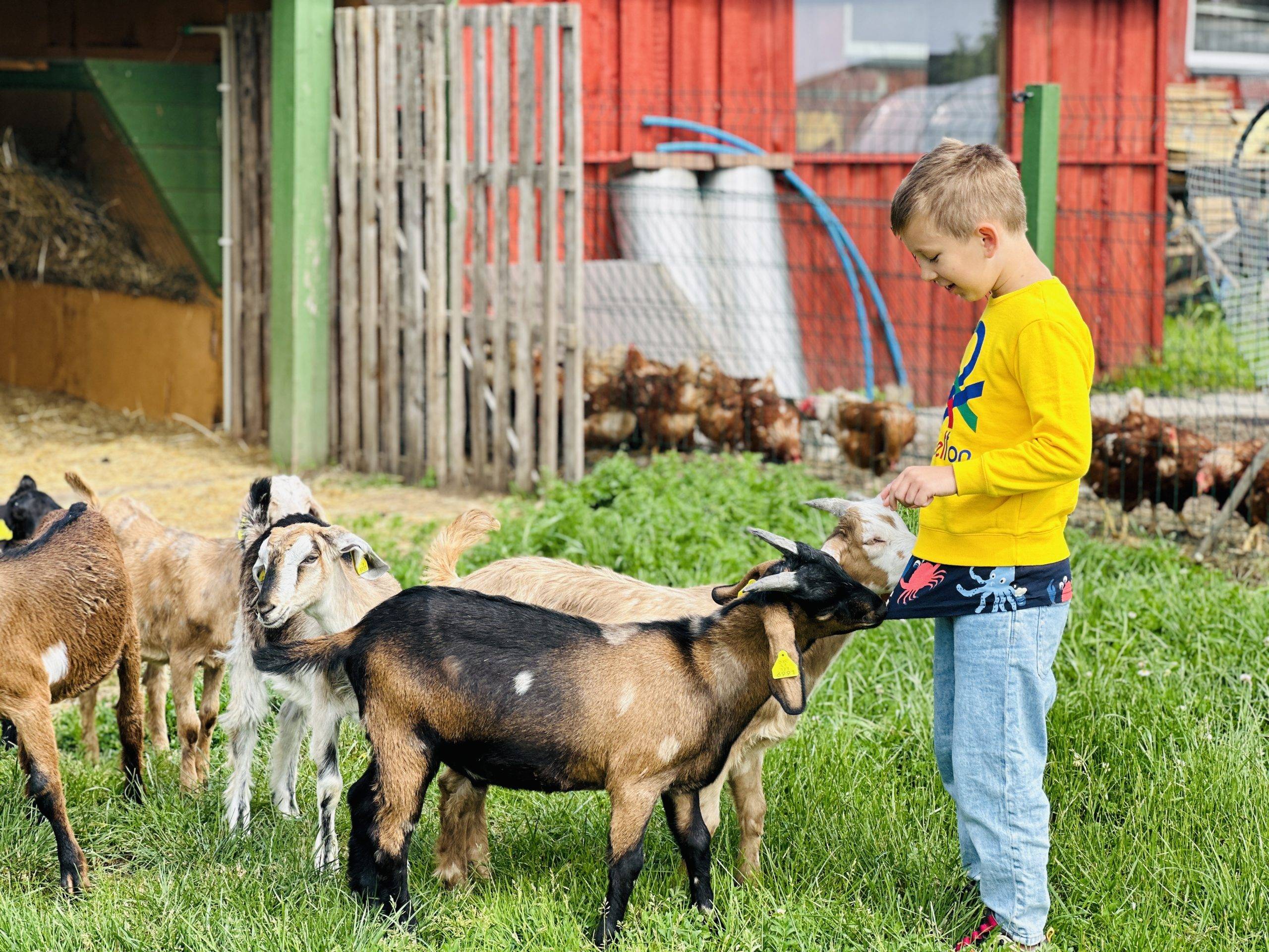 Gyvūnų ūkiai ir parkai Lietuvoje
