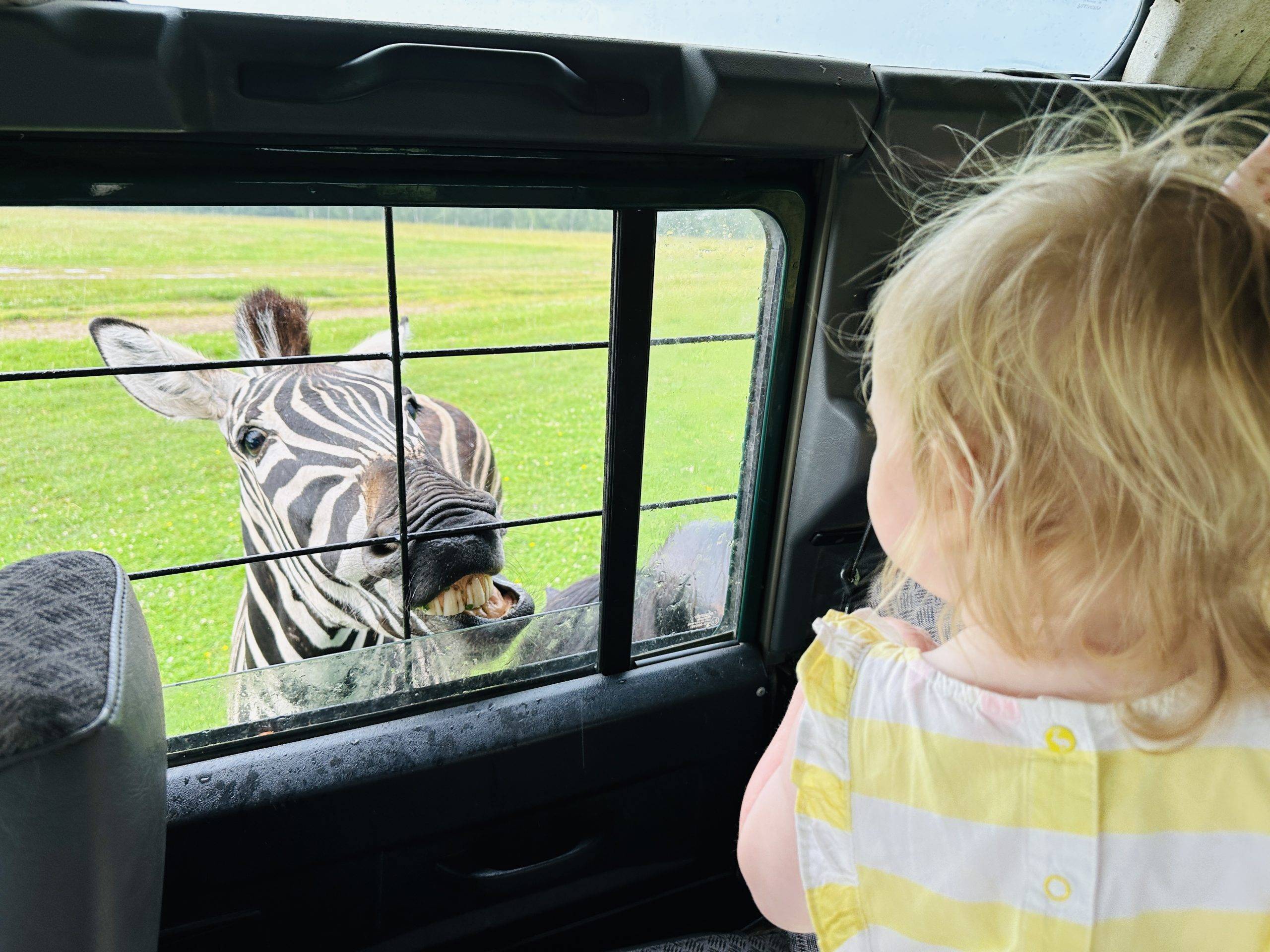 Gyvūnų ūkiai ir parkai Lietuvoje