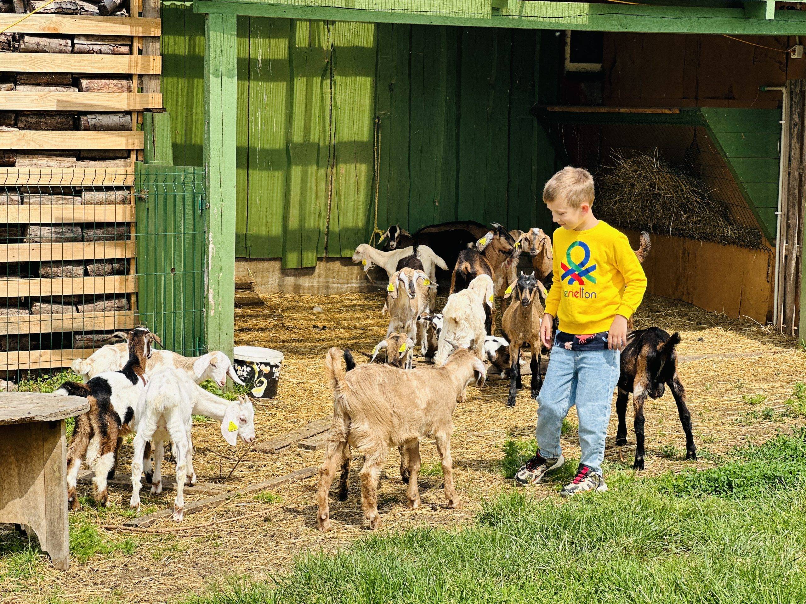Gyvūnų ūkiai ir parkai Lietuvoje
