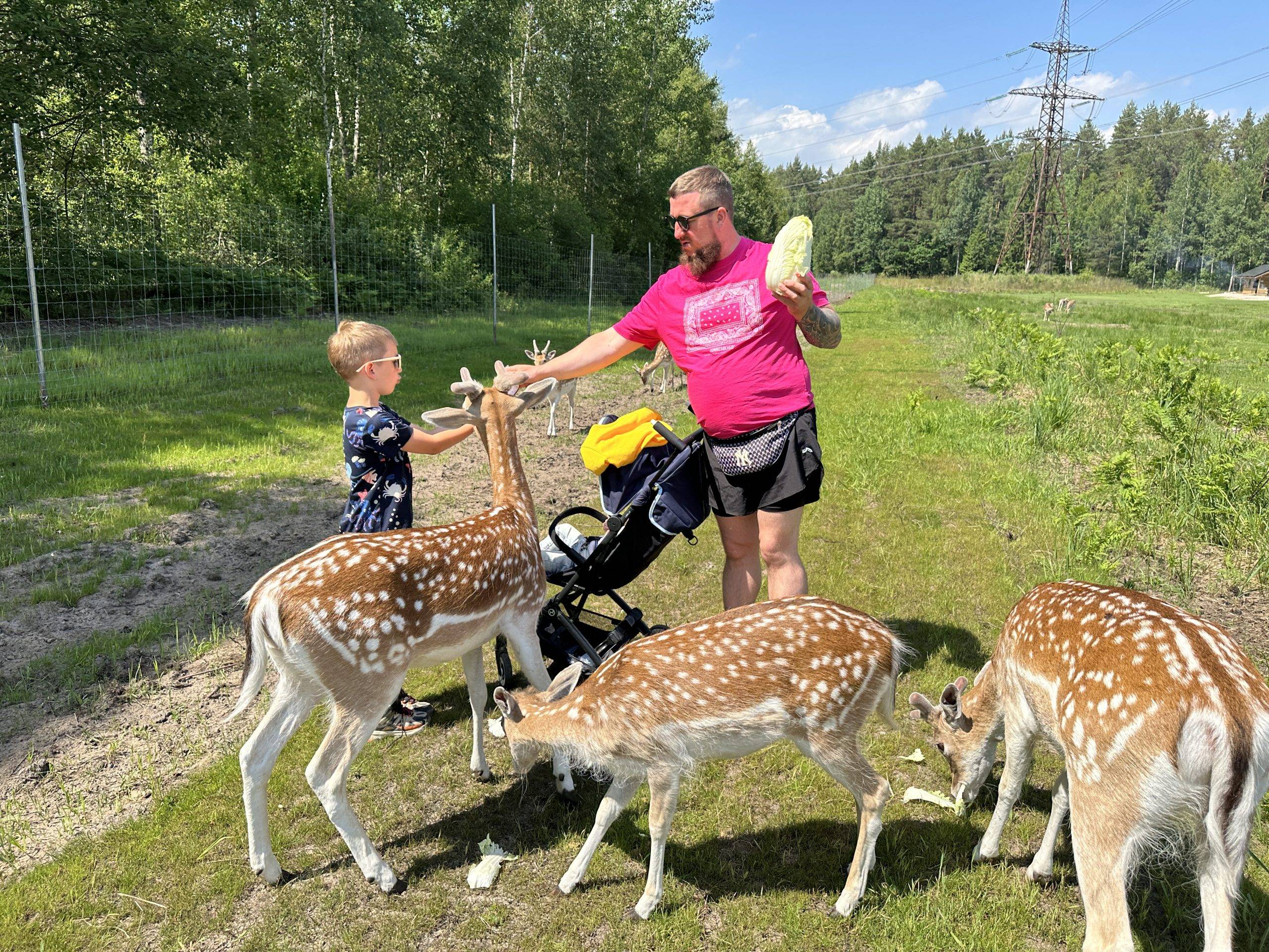 Gyvūnų ūkiai ir parkai Lietuvoje
