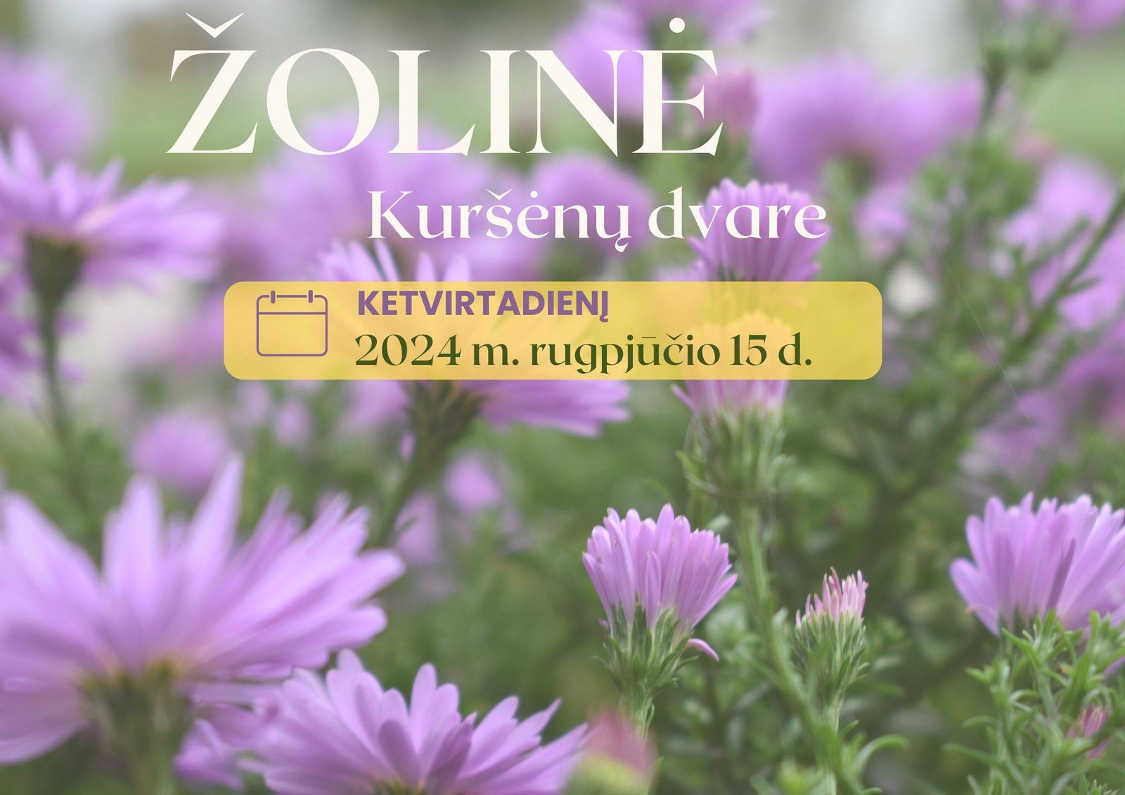 Žolinė Kuršėnų dvare