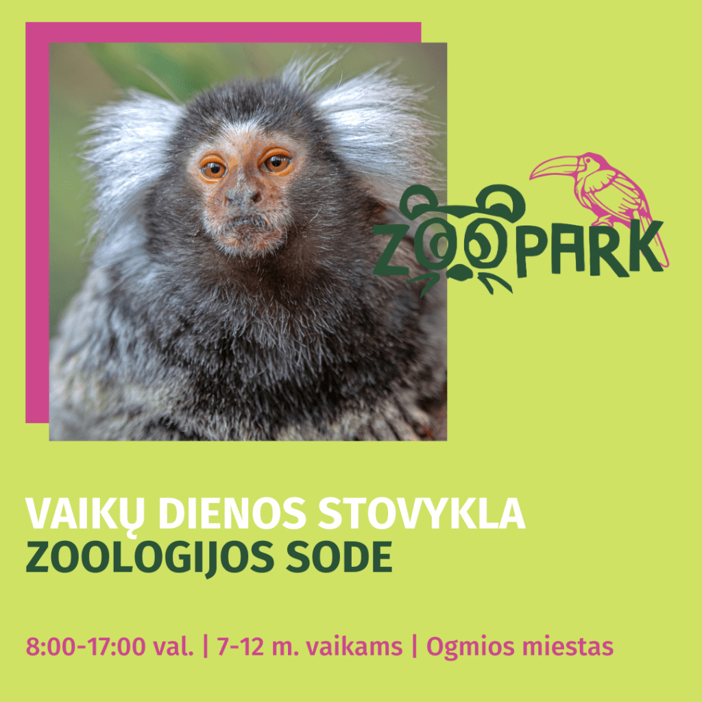 Vaikų rudens atostogų stovyklos 2024