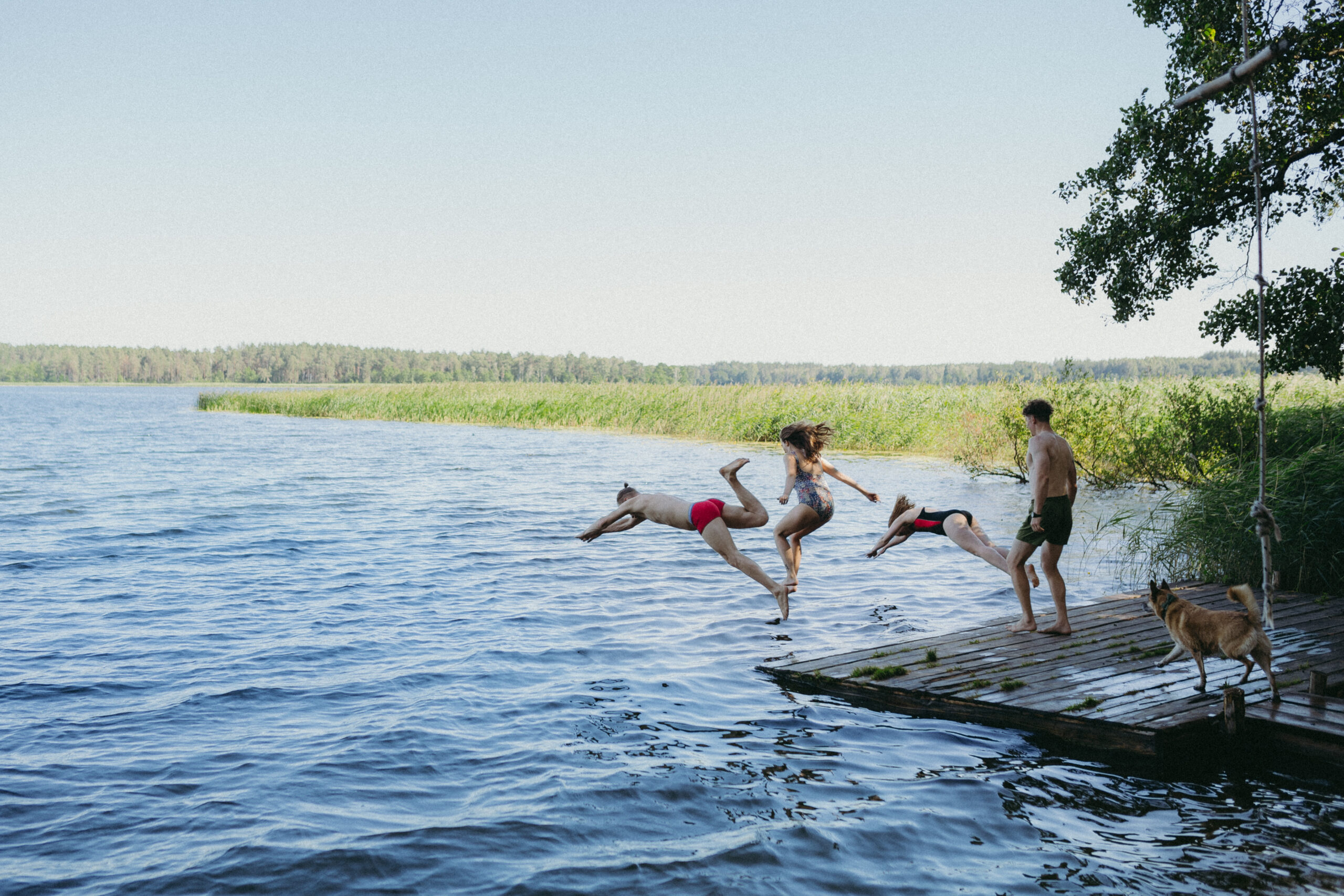 Asalnų stovyklavietė Ignalinos rajone