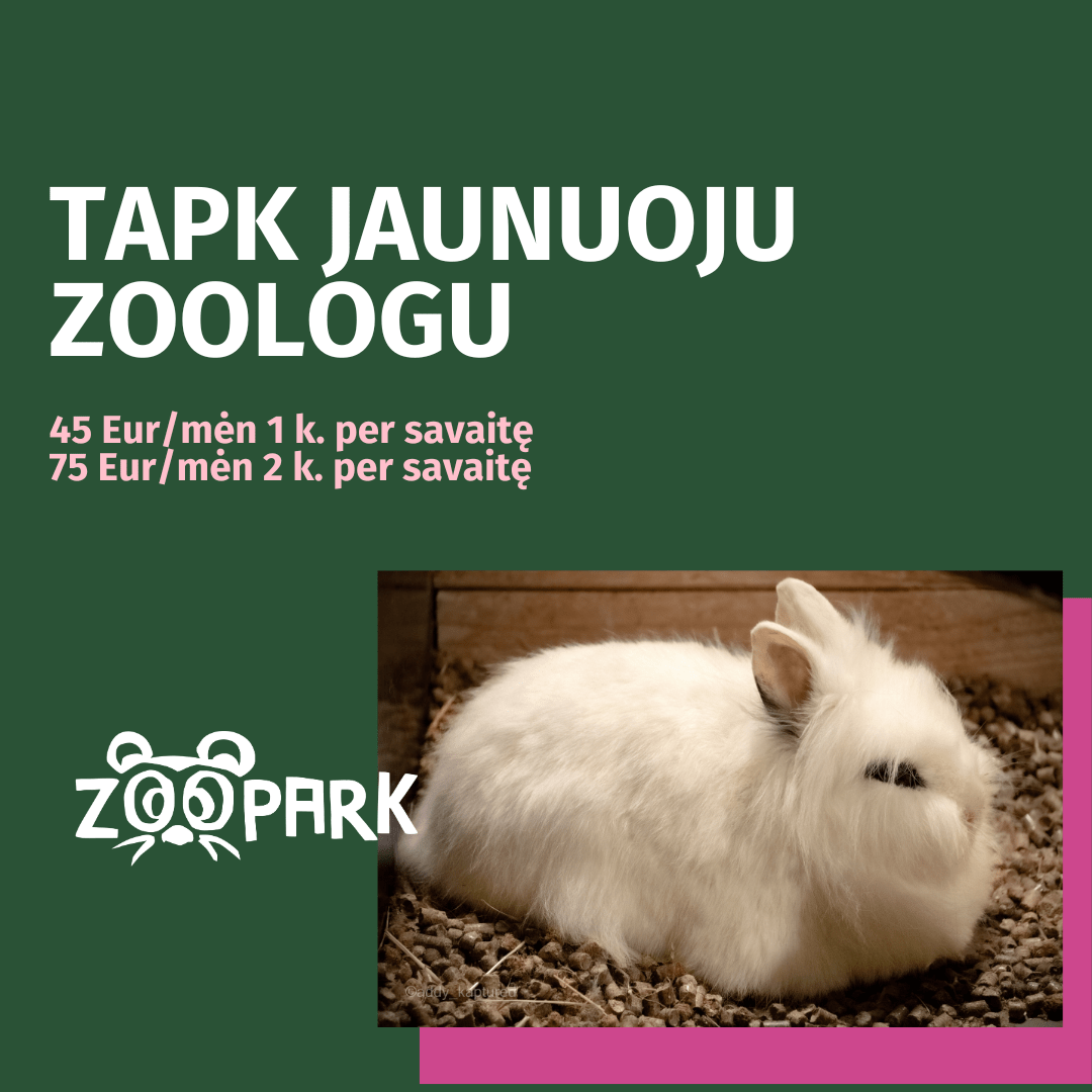 Zoopark activities for children