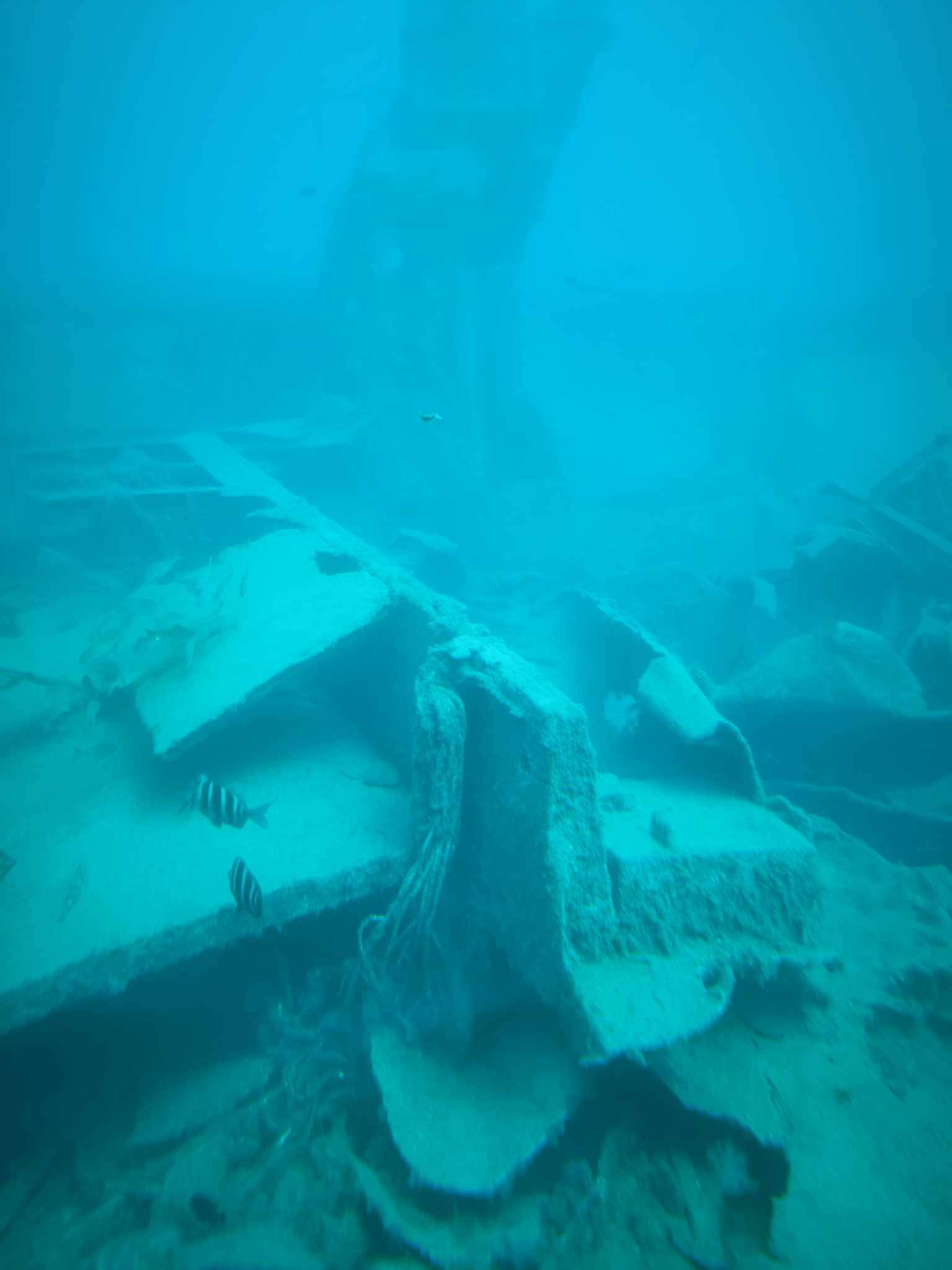 Submarine Tour in Gran Canaria