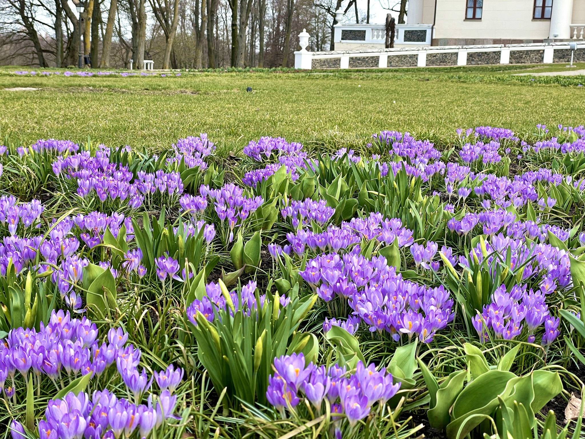 Velykos Pakruojo dvare. Ką veikti pirmąją Velykų dieną