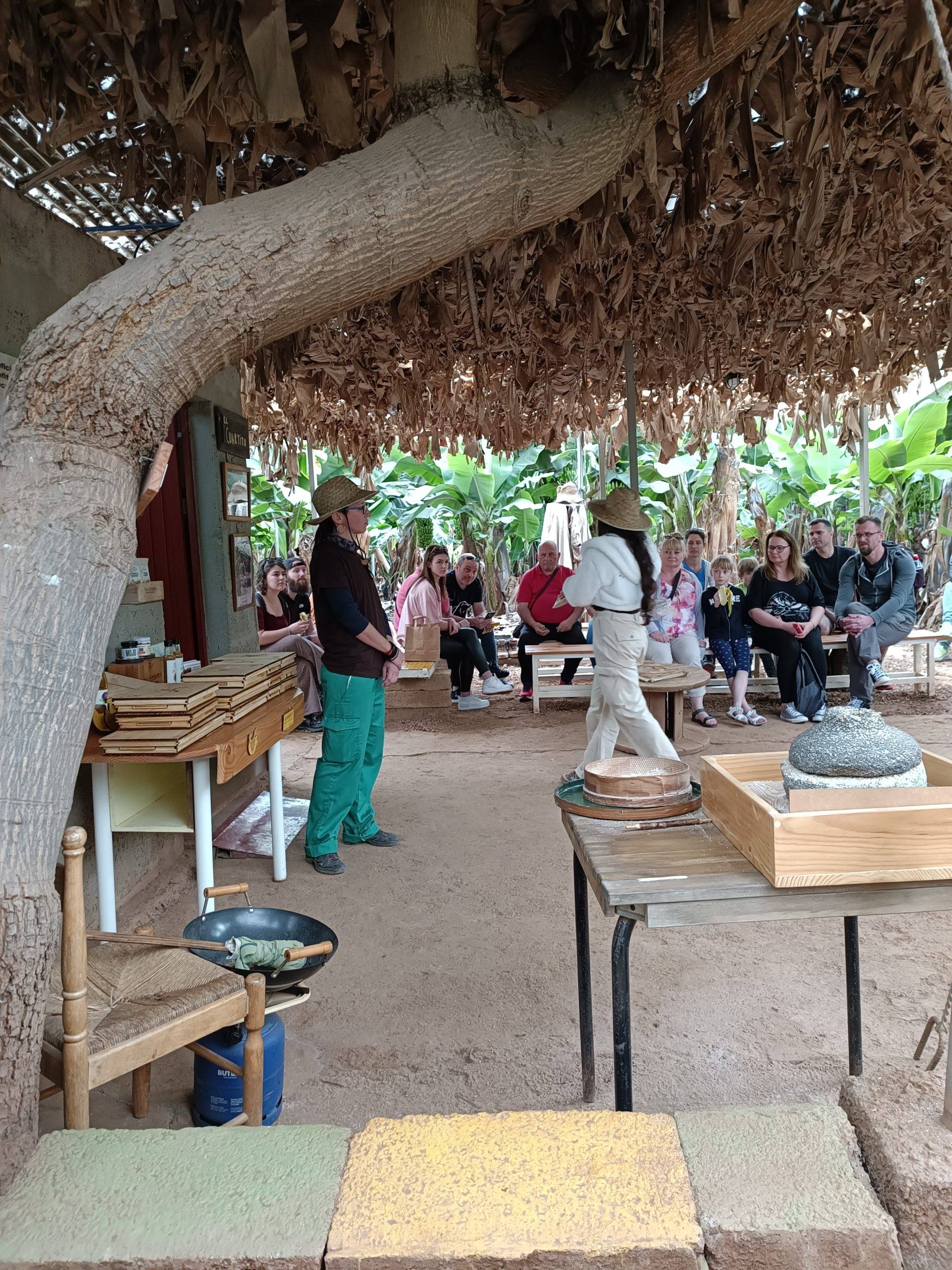 Tour in Banana plantation Tenerife