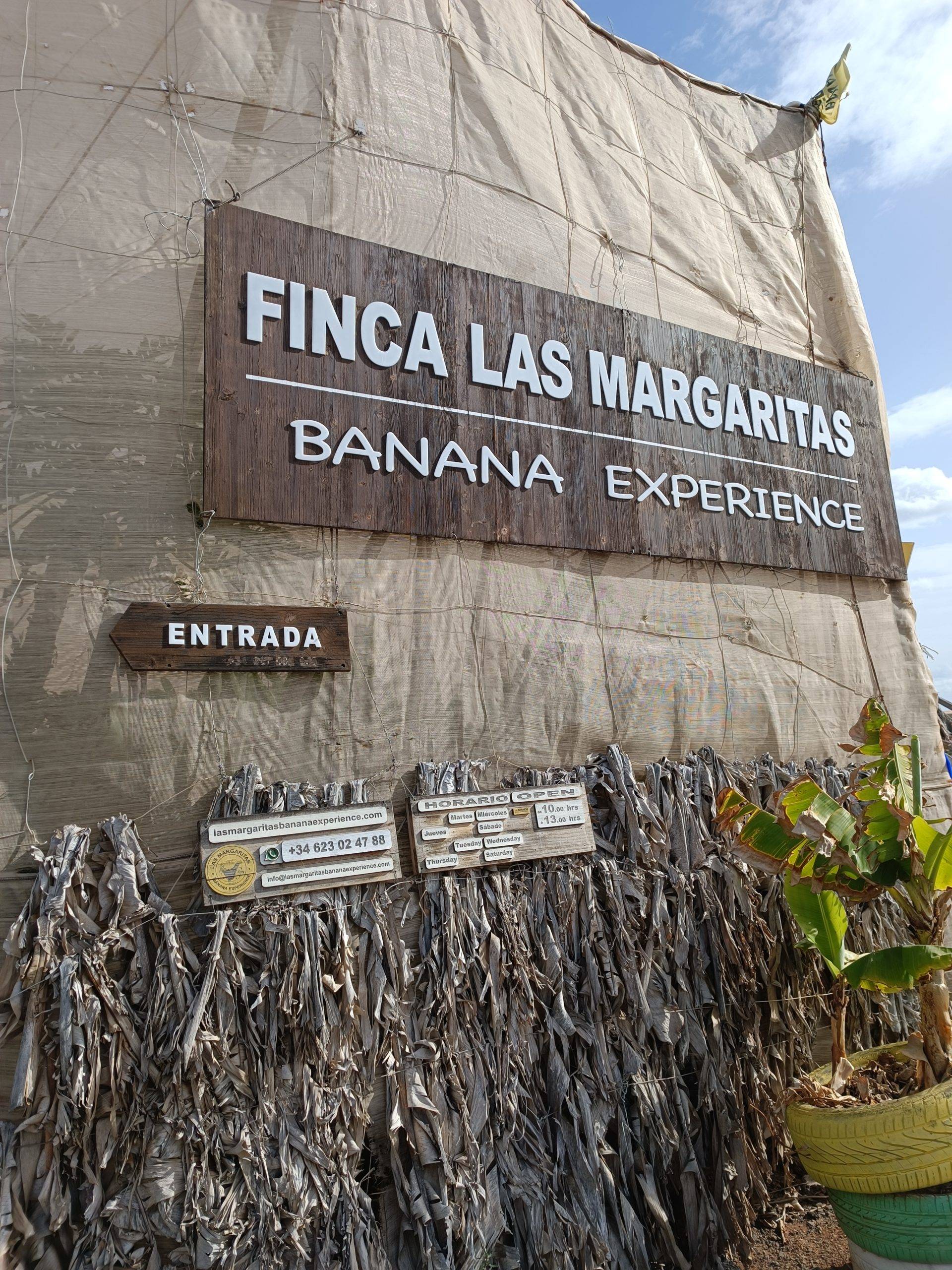 Tour in Banana plantation Tenerife