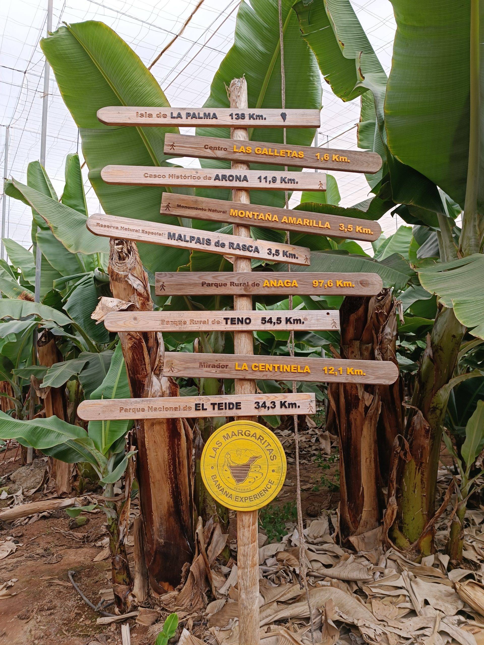 Tenerife Banana plantation tour and tasting