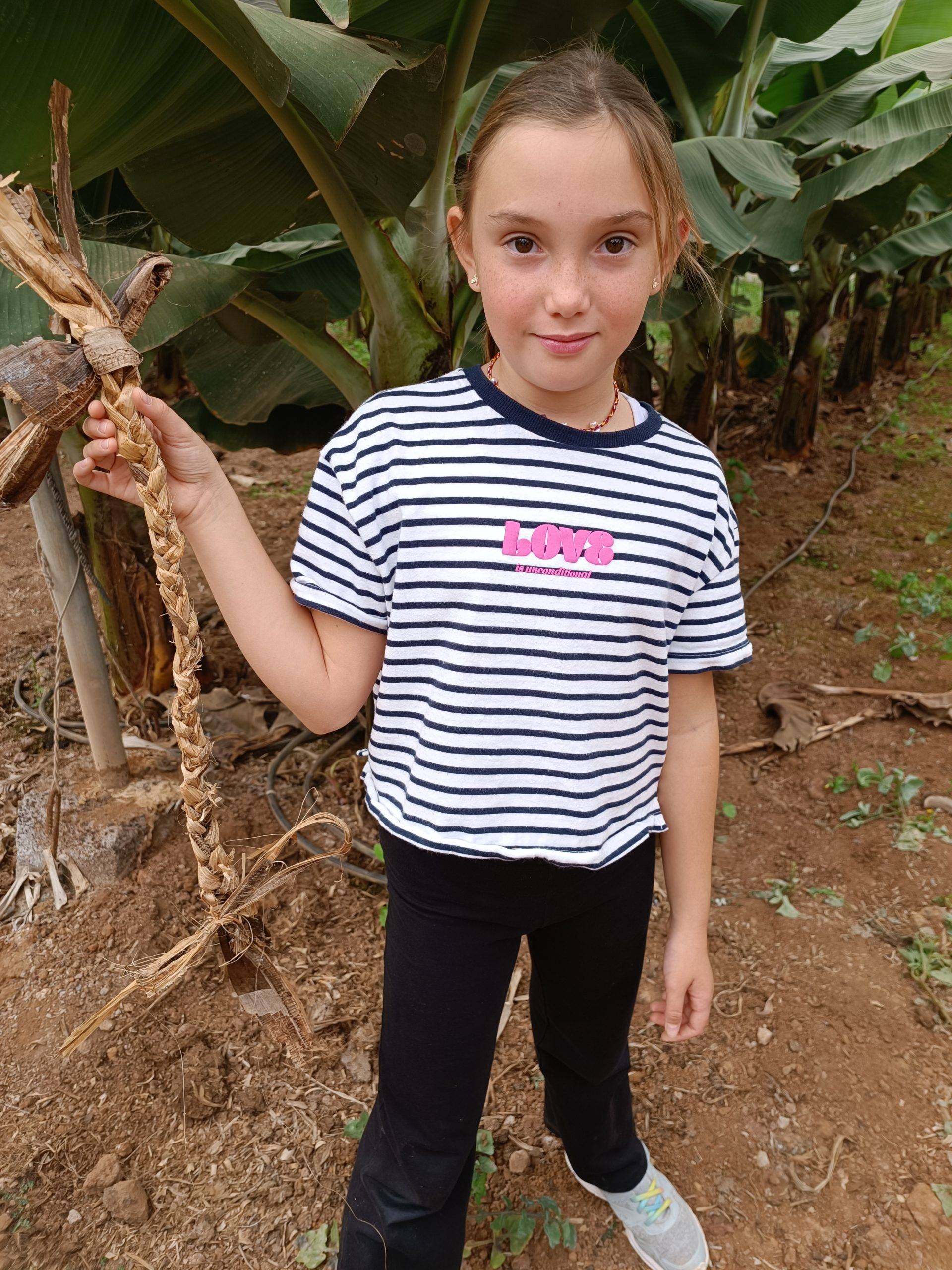 Tour in Banana plantation Tenerife