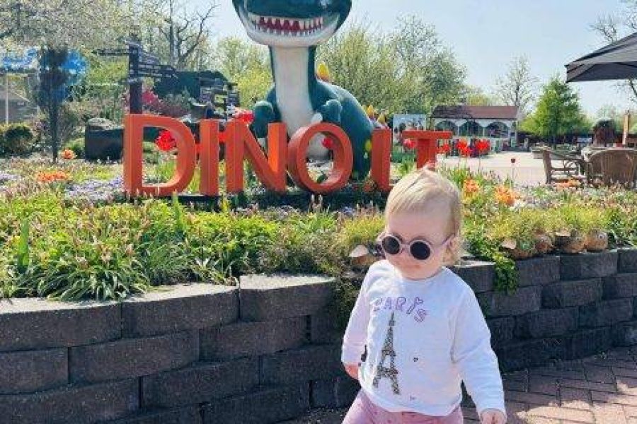 Dino Park with children