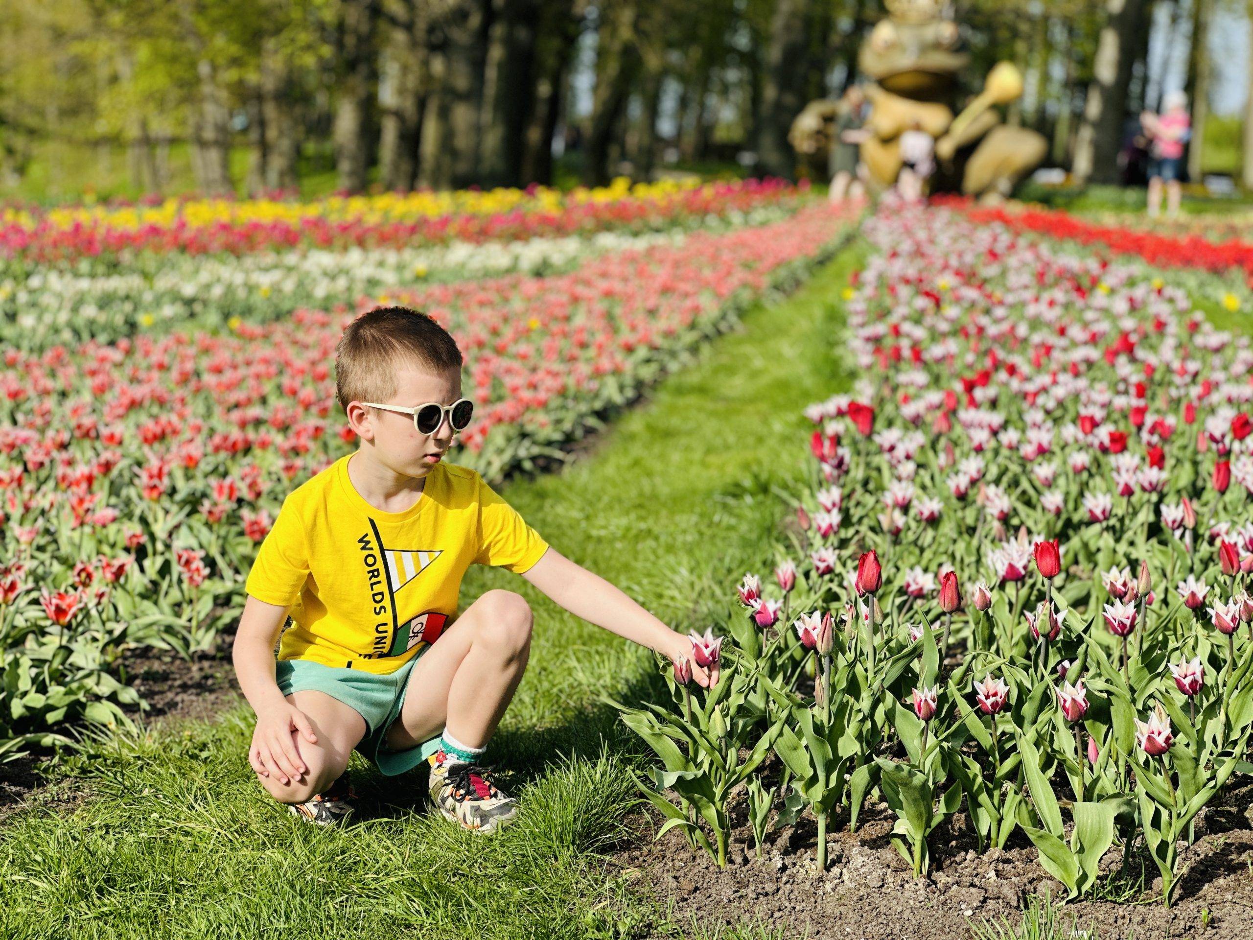 Tulpių festivalyje Pakruojo dvare su vaikais