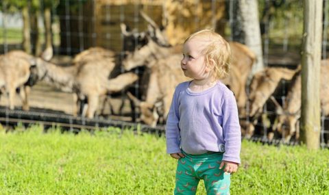 Gyvūnų ūkiai ir parkai Lietuvoje