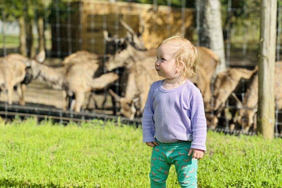 Gyvūnų ūkiai ir parkai Lietuvoje